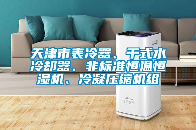 天津市表冷器、干式水冷卻器、非標(biāo)準(zhǔn)恒溫恒濕機(jī)、冷凝壓縮機(jī)組