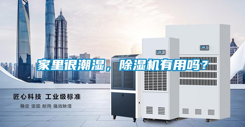 家里很潮濕，除濕機有用嗎？