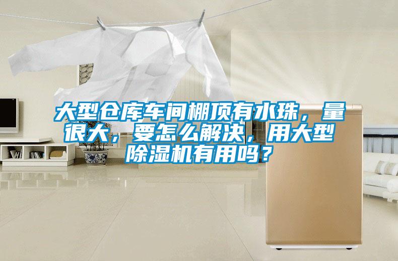 大型倉庫車間棚頂有水珠，量很大，要怎么解決，用大型除濕機有用嗎？