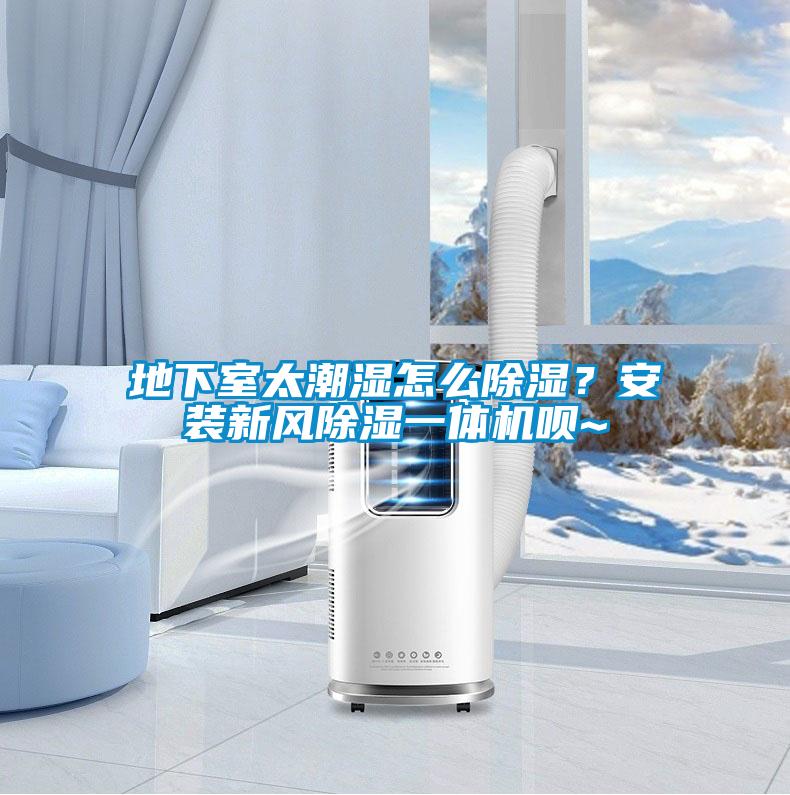 地下室太潮濕怎么除濕？安裝新風(fēng)除濕一體機(jī)唄~