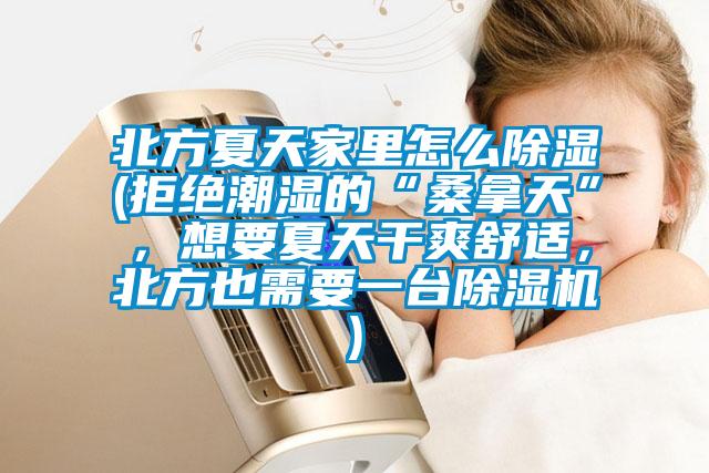 北方夏天家里怎么除濕(拒絕潮濕的“桑拿天”，想要夏天干爽舒適，北方也需要一臺除濕機)