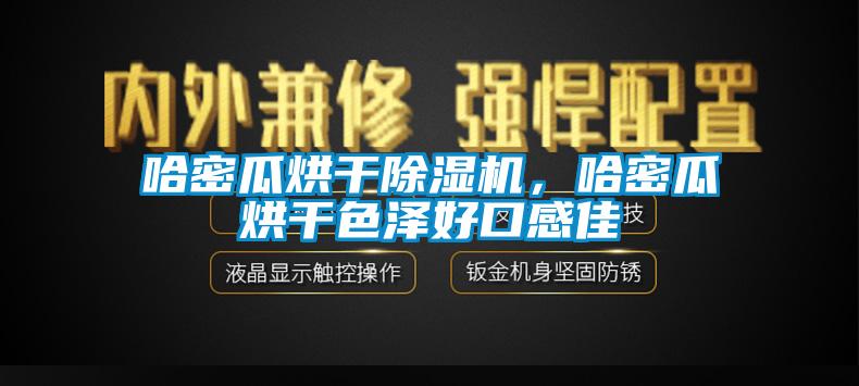 哈密瓜烘干除濕機，哈密瓜烘干色澤好口感佳