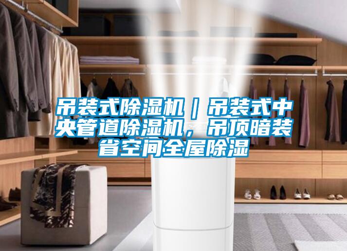 吊裝式除濕機(jī)｜吊裝式中央管道除濕機(jī)，吊頂暗裝省空間全屋除濕