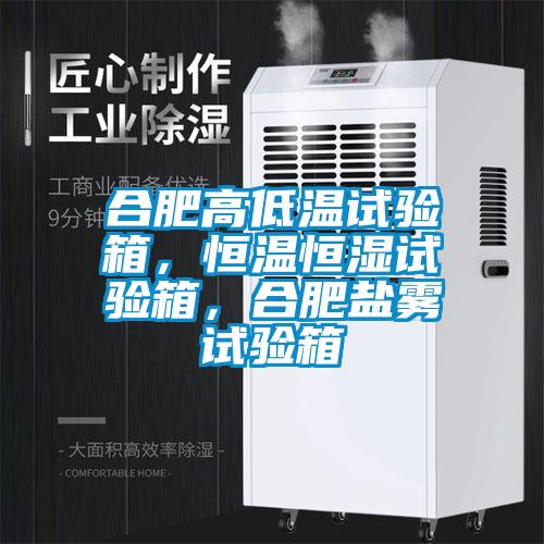 合肥高低溫試驗箱，恒溫恒濕試驗箱，合肥鹽霧試驗箱