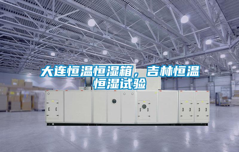 大連恒溫恒濕箱，吉林恒溫恒濕試驗