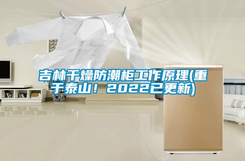 吉林干燥防潮柜工作原理(重于泰山！2022已更新)