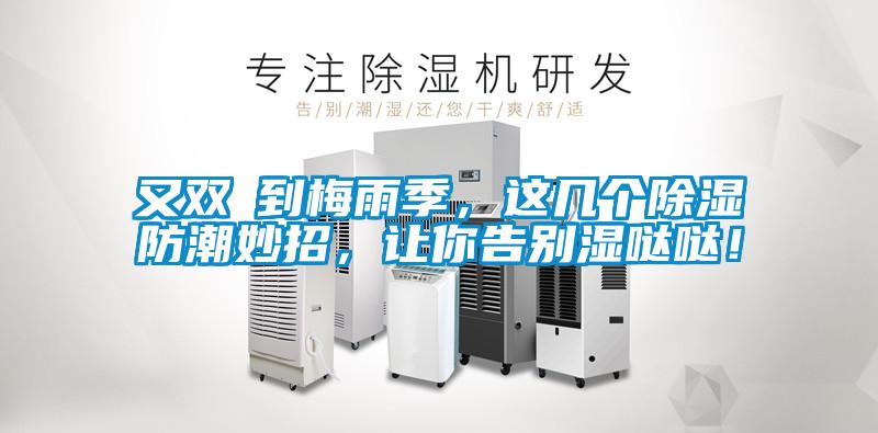 又雙叒到梅雨季，這幾個除濕防潮妙招，讓你告別濕噠噠！
