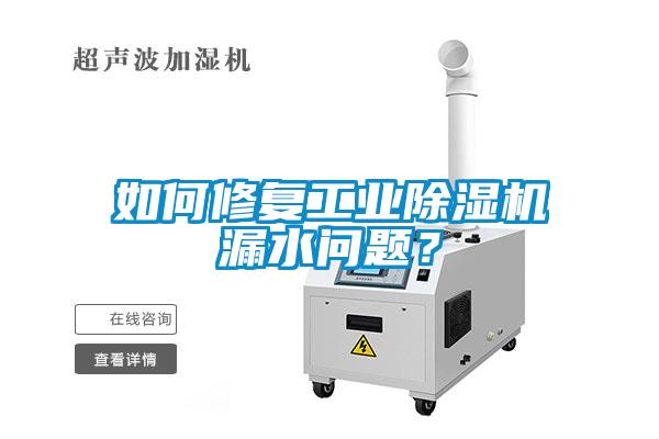 如何修復(fù)工業(yè)除濕機(jī)漏水問題？