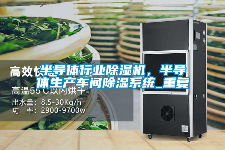 半導(dǎo)體行業(yè)除濕機(jī)，半導(dǎo)體生產(chǎn)車間除濕系統(tǒng)_重復(fù)
