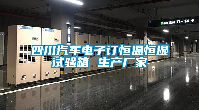 四川汽車(chē)電子訂恒溫恒濕試驗(yàn)箱 生產(chǎn)廠家