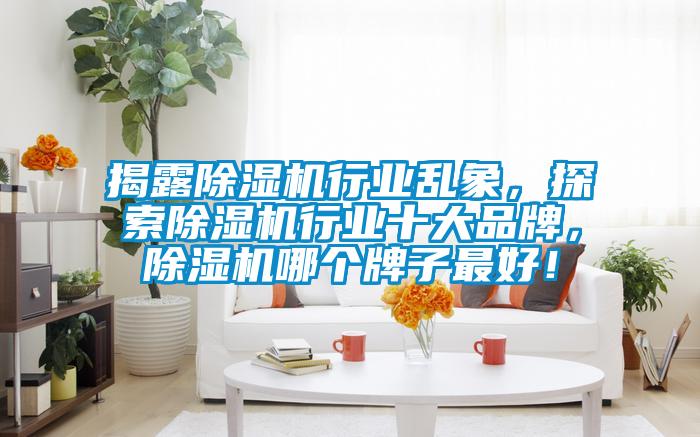揭露除濕機(jī)行業(yè)亂象，探索除濕機(jī)行業(yè)十大品牌，除濕機(jī)哪個牌子最好！