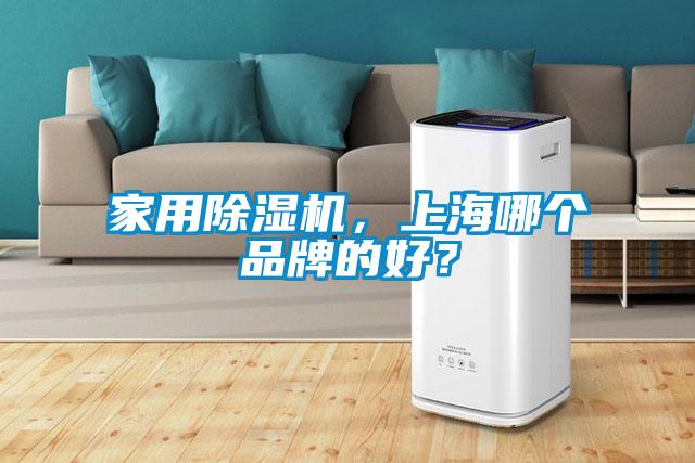 家用除濕機(jī)，上海哪個品牌的好？
