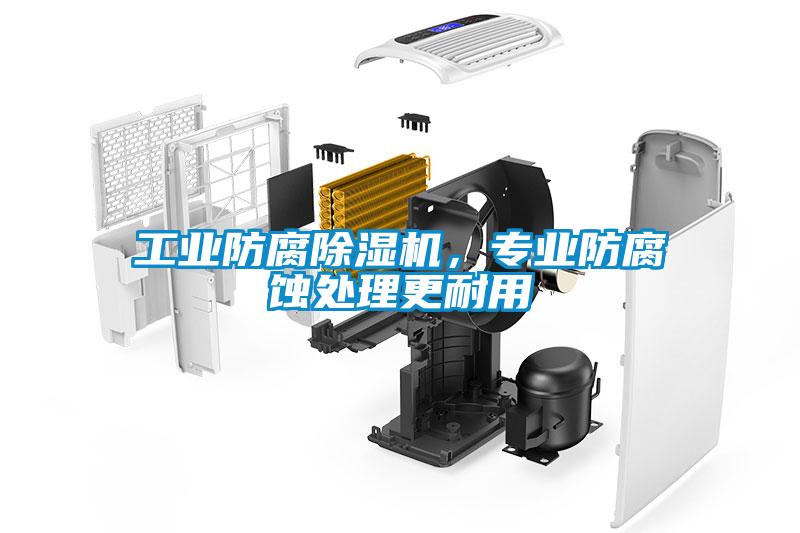 工業(yè)防腐除濕機(jī)，專業(yè)防腐蝕處理更耐用