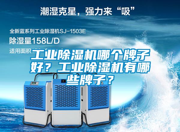 工業(yè)除濕機(jī)哪個(gè)牌子好？工業(yè)除濕機(jī)有哪些牌子？