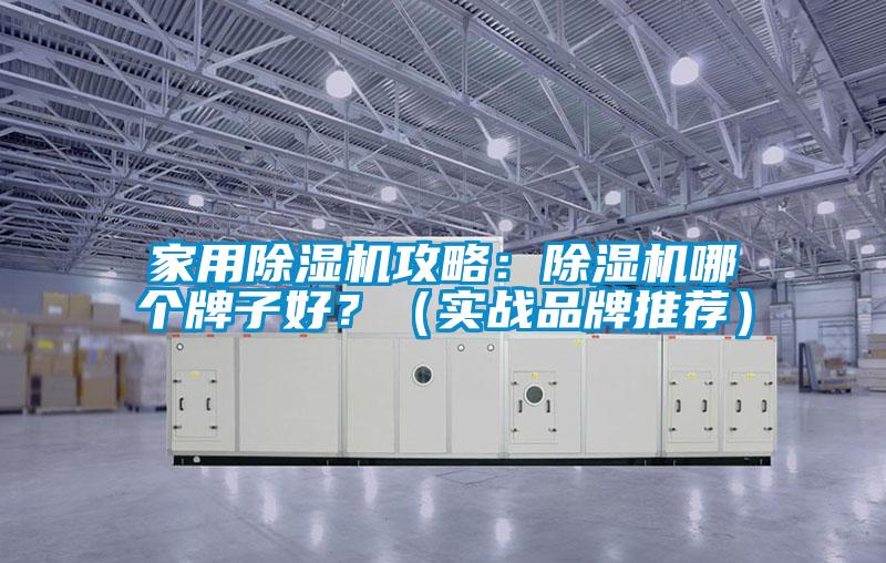 家用除濕機(jī)攻略：除濕機(jī)哪個(gè)牌子好？（實(shí)戰(zhàn)品牌推薦）