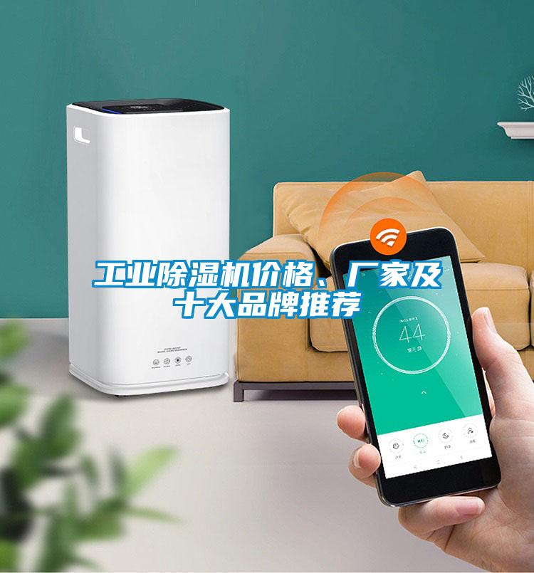 工業(yè)除濕機(jī)價(jià)格、廠家及十大品牌推薦