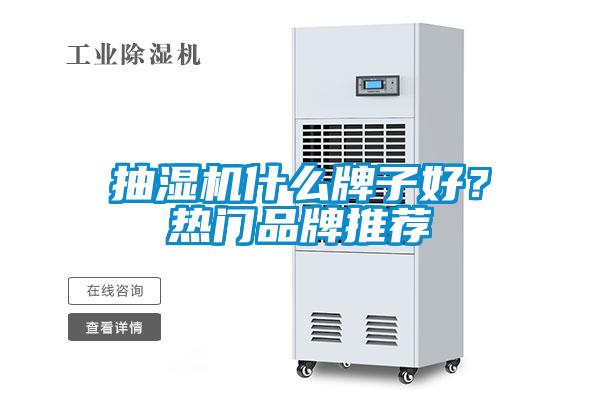 抽濕機(jī)什么牌子好？熱門(mén)品牌推薦