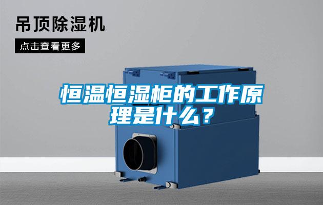 恒溫恒濕柜的工作原理是什么？