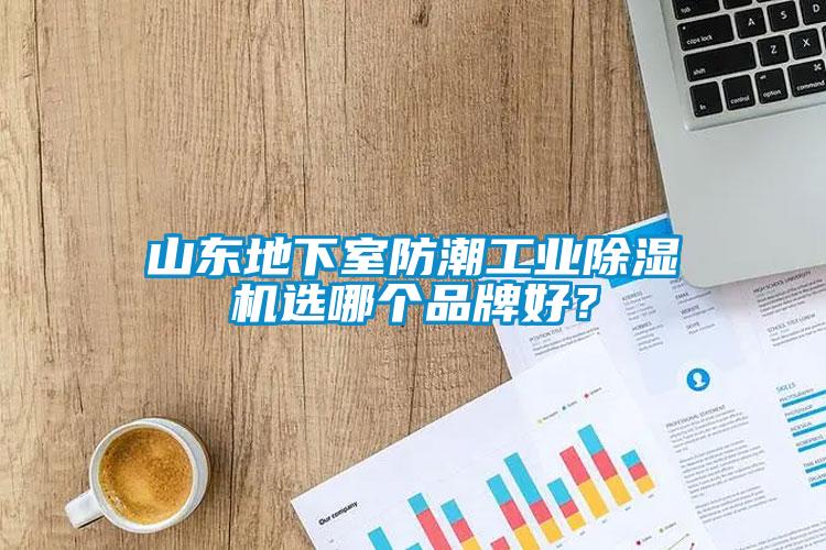 山東地下室防潮工業(yè)除濕機選哪個品牌好？