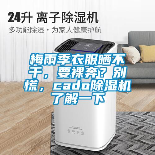 梅雨季衣服曬不干，要裸奔？別慌，cado除濕機(jī)了解一下