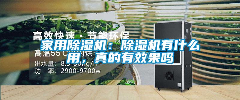 家用除濕機(jī)：除濕機(jī)有什么用，真的有效果嗎