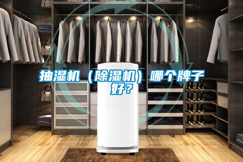 抽濕機（除濕機）哪個牌子好？
