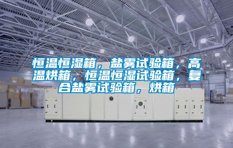 恒溫恒濕箱，鹽霧試驗(yàn)箱，高溫烘箱，恒溫恒濕試驗(yàn)箱，復(fù)合鹽霧試驗(yàn)箱，烘箱
