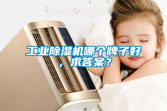工業(yè)除濕機(jī)哪個(gè)牌子好，求答案？