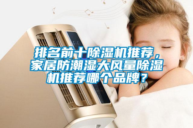 排名前十除濕機(jī)推薦，家居防潮濕大風(fēng)量除濕機(jī)推薦哪個(gè)品牌？