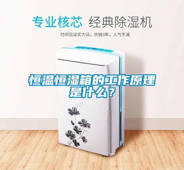 恒溫恒濕箱的工作原理是什么？