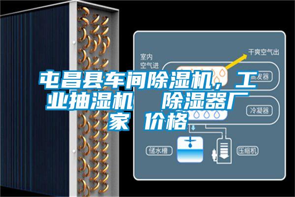 屯昌縣車間除濕機(jī)，工業(yè)抽濕機(jī)  除濕器廠家 價格