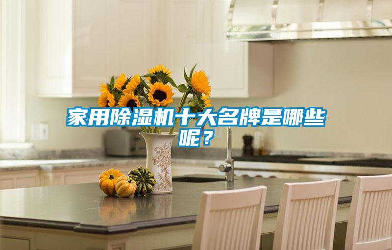 家用除濕機(jī)十大名牌是哪些呢？