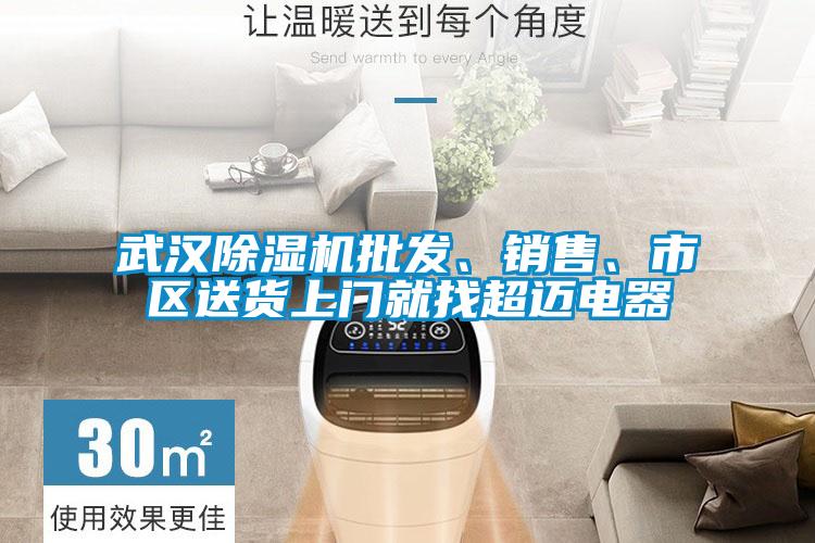 武漢除濕機批發(fā)、銷售、市區(qū)送貨上門就找超邁電器