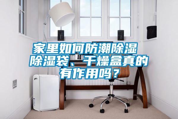 家里如何防潮除濕 除濕袋、干燥盒真的有作用嗎？