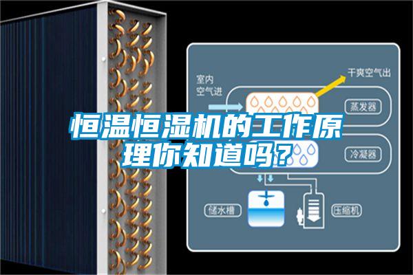 恒溫恒濕機(jī)的工作原理你知道嗎？
