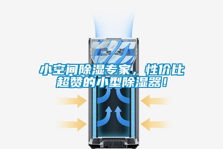 小空間除濕專家，性價比超贊的小型除濕器！