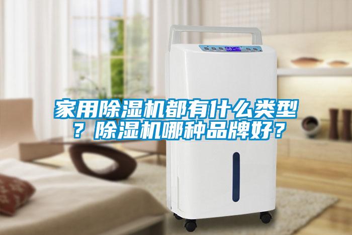 家用除濕機(jī)都有什么類型？除濕機(jī)哪種品牌好？