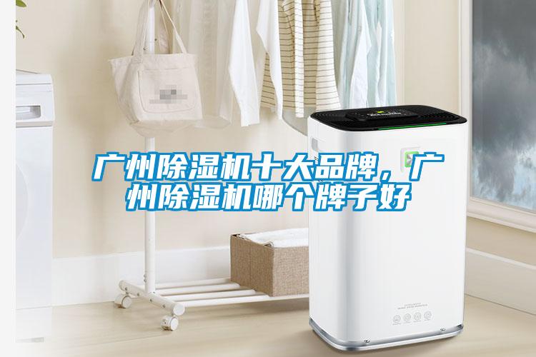 廣州除濕機(jī)十大品牌，廣州除濕機(jī)哪個(gè)牌子好