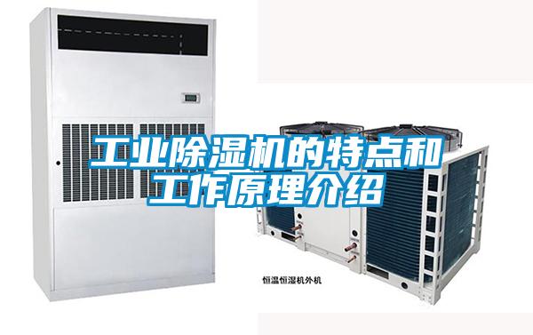 工業(yè)除濕機的特點和工作原理介紹