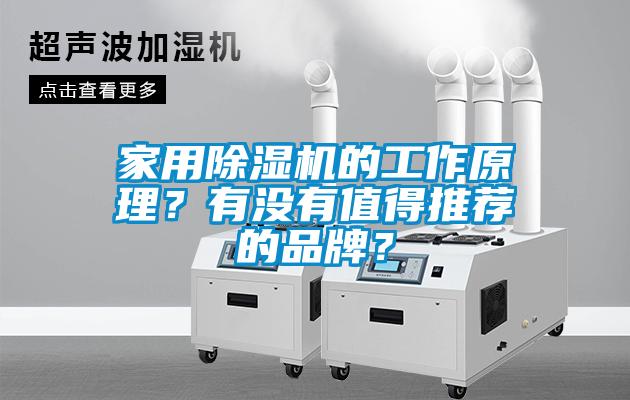 家用除濕機(jī)的工作原理？有沒有值得推薦的品牌？