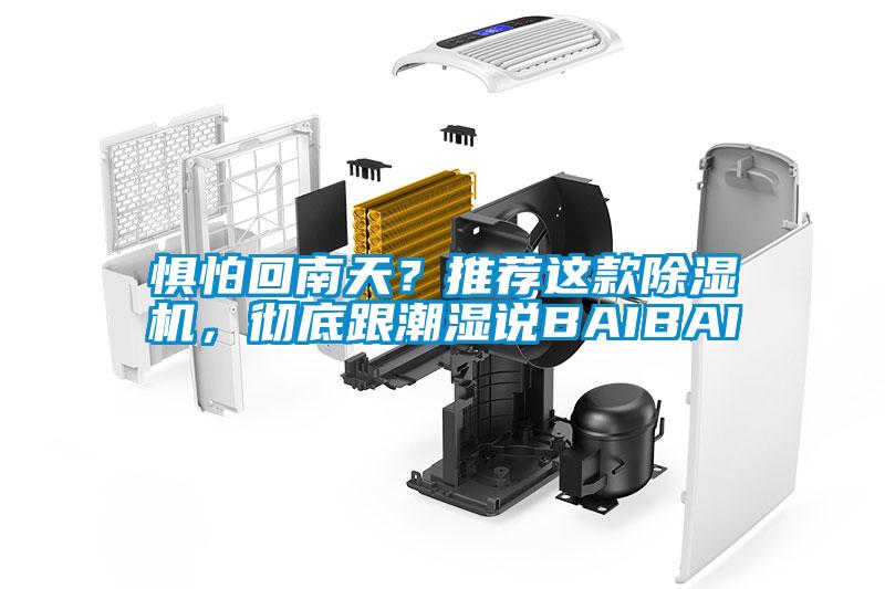 懼怕回南天？推薦這款除濕機(jī)，徹底跟潮濕說(shuō)BAIBAI