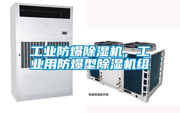 工業(yè)防爆除濕機(jī)，工業(yè)用防爆型除濕機(jī)組