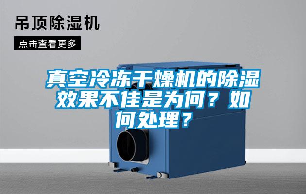 真空冷凍干燥機(jī)的除濕效果不佳是為何？如何處理？