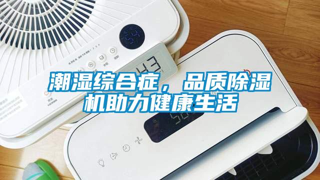 潮濕綜合癥，品質(zhì)除濕機助力健康生活
