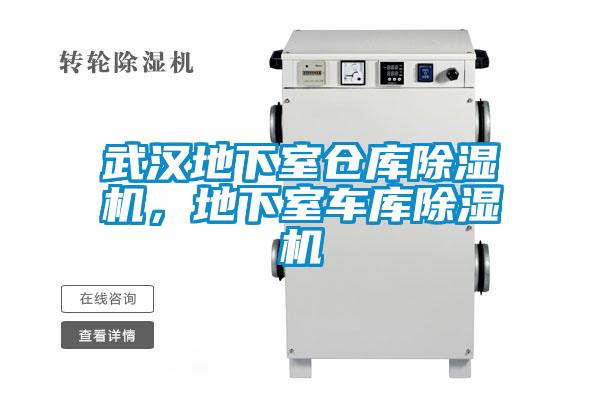 武漢地下室倉庫除濕機(jī)，地下室車庫除濕機(jī)