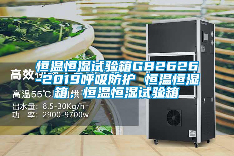 恒溫恒濕試驗(yàn)箱GB2626-2019呼吸防護(hù) 恒溫恒濕箱，恒溫恒濕試驗(yàn)箱