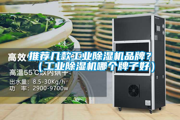 推薦幾款工業(yè)除濕機(jī)品牌？（工業(yè)除濕機(jī)哪個牌子好）