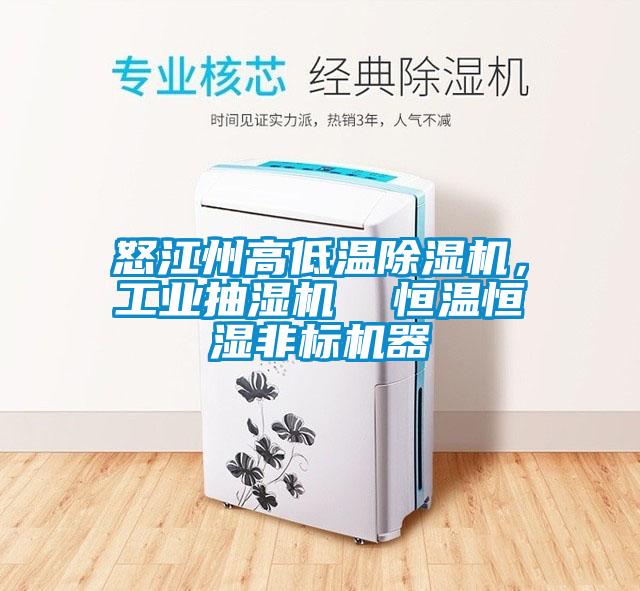 怒江州高低溫除濕機，工業(yè)抽濕機  恒溫恒濕非標機器