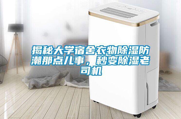 揭秘大學(xué)宿舍衣物除濕防潮那點兒事，秒變除濕老司機
