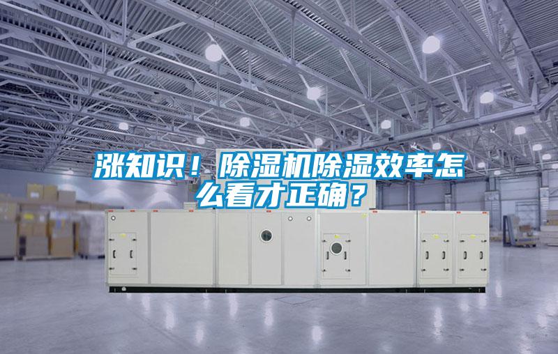 漲知識！除濕機除濕效率怎么看才正確？
